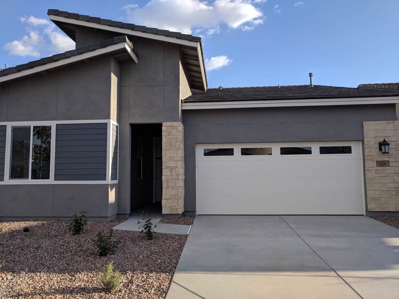 239 Desert Broom Drive - Photo 1