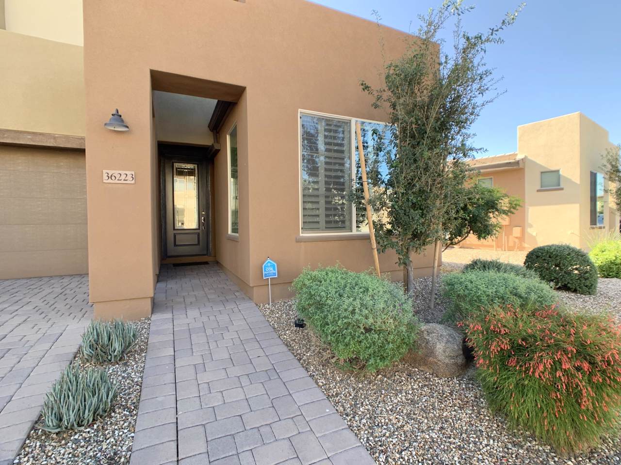 36223 Desert Tea Drive - Photo 1