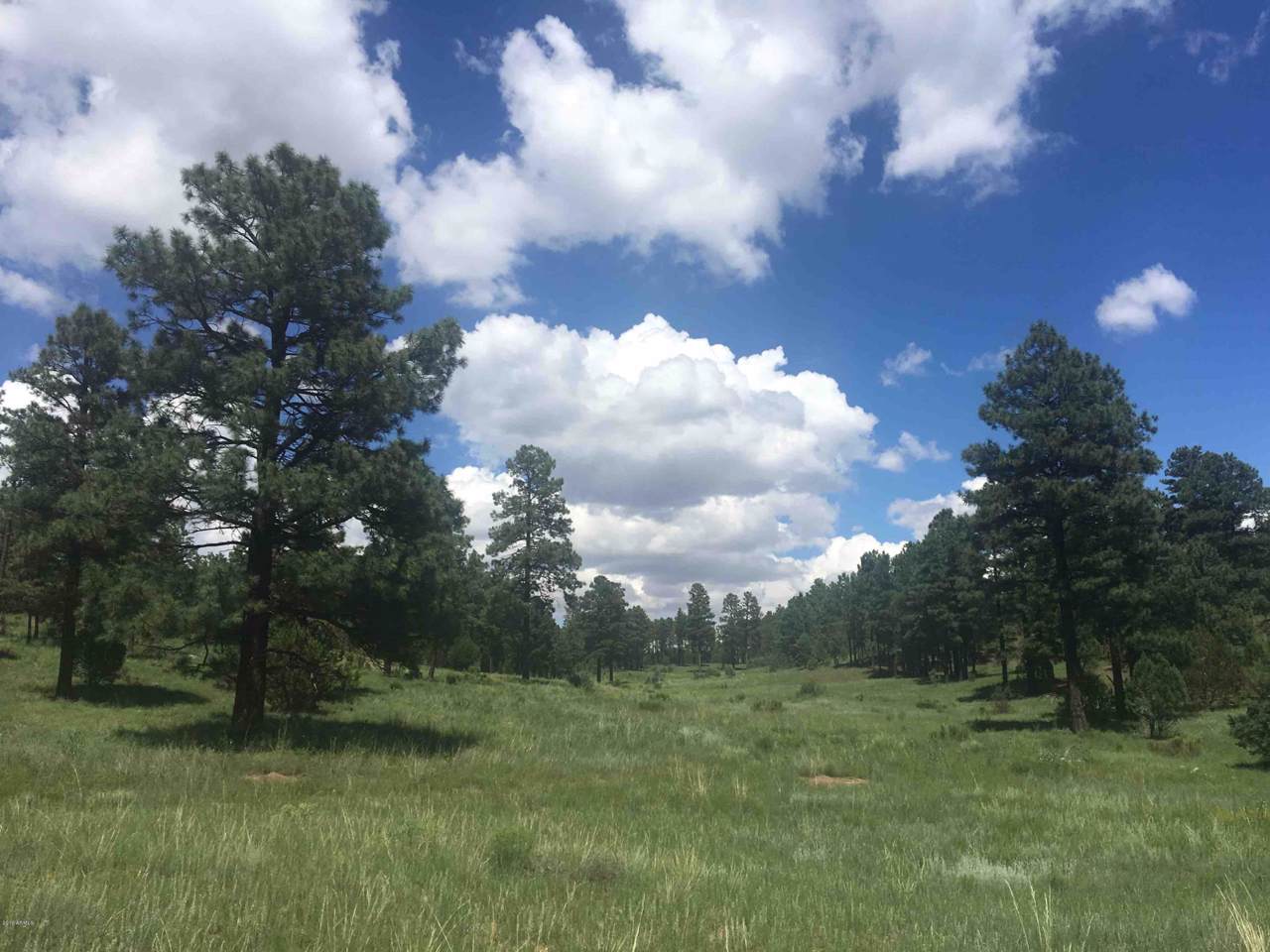 TBD Meadow Trail - Photo 1