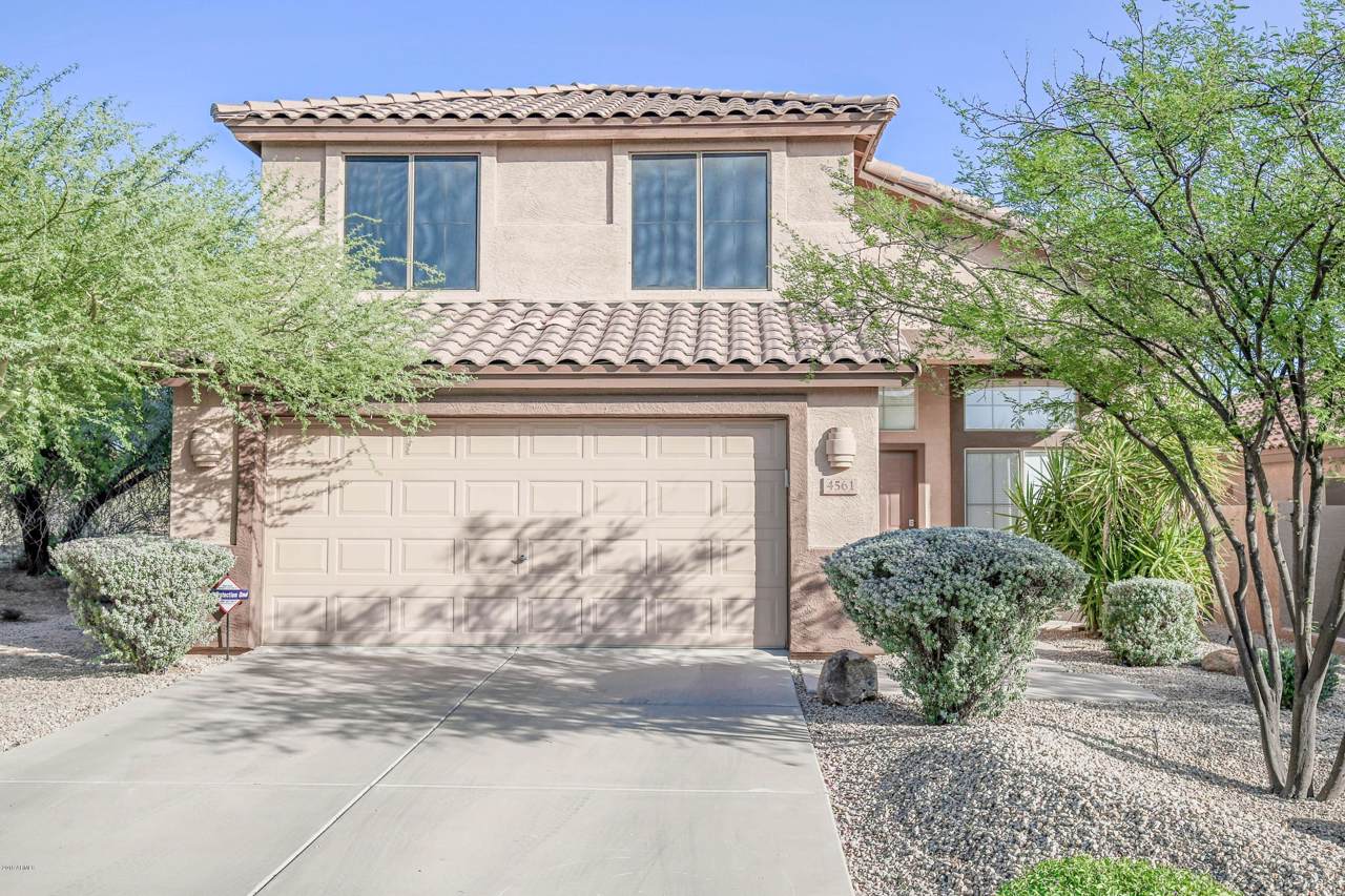 4561 Coyote Wash Drive - Photo 1