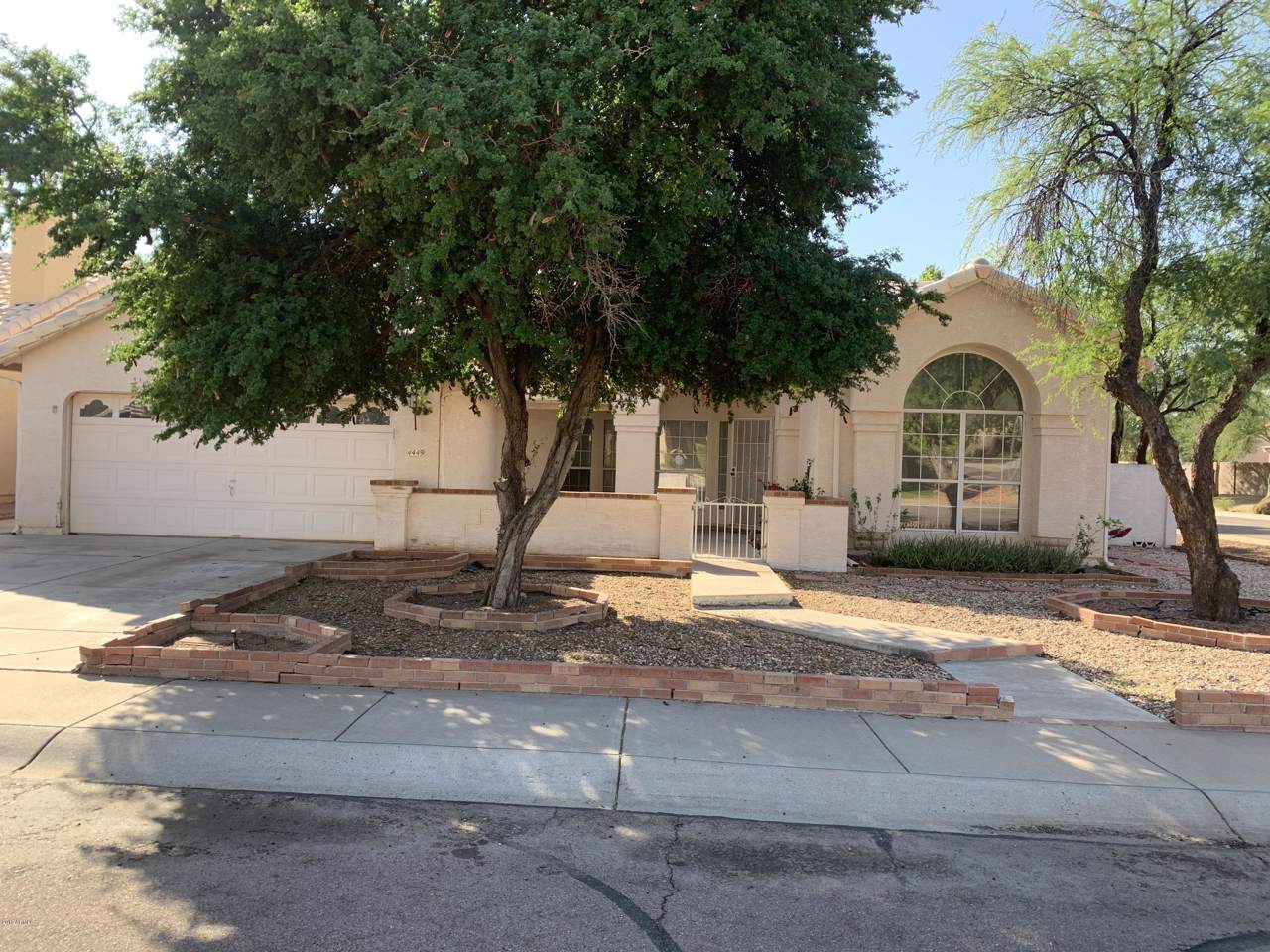 4449 Chama Drive - Photo 1