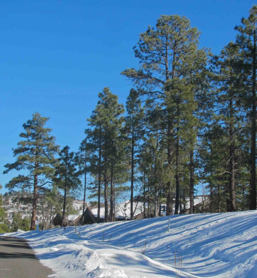 1019 Stone Hollow Loop - Photo 1