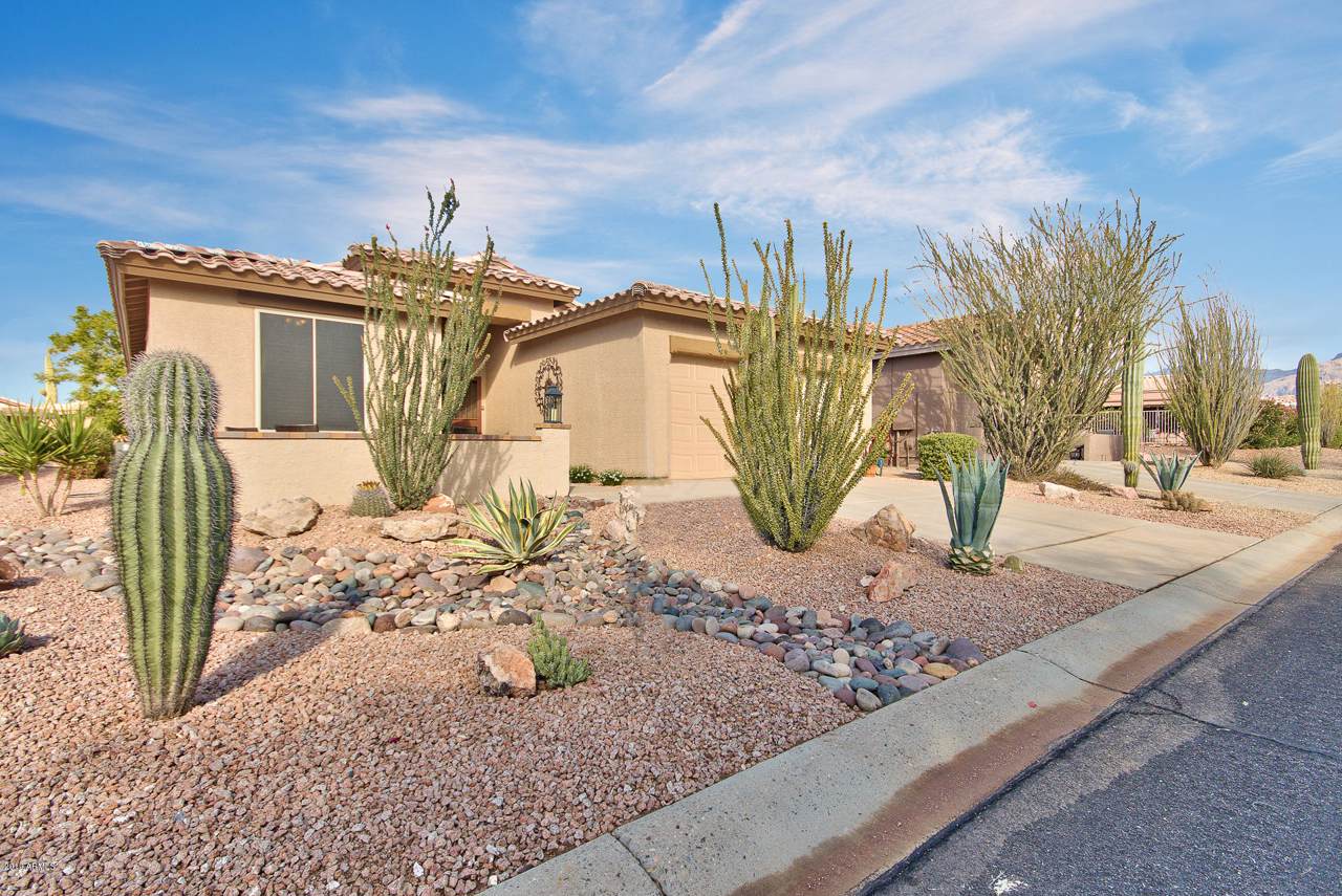6640 Tour Drive - Photo 1