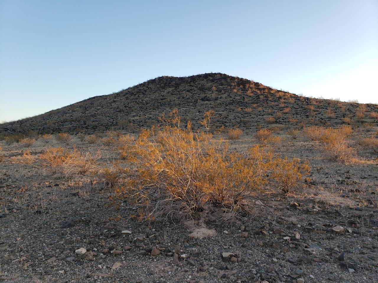 362XX Southern Avenue - Photo 1