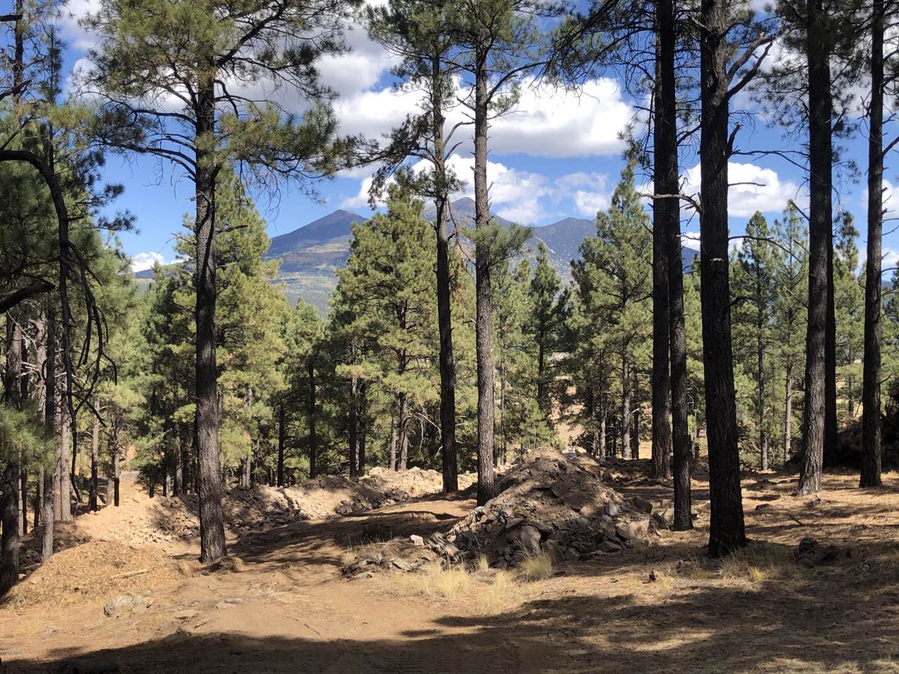 0 Coyote Pass Rd - Photo 1