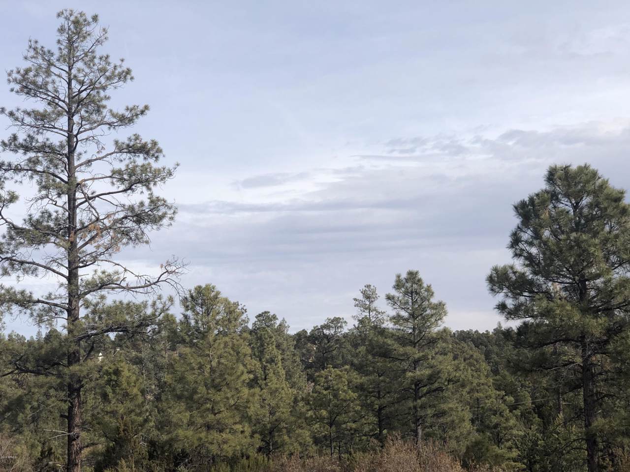 3350 Sawmill Ridge Loop - Photo 1