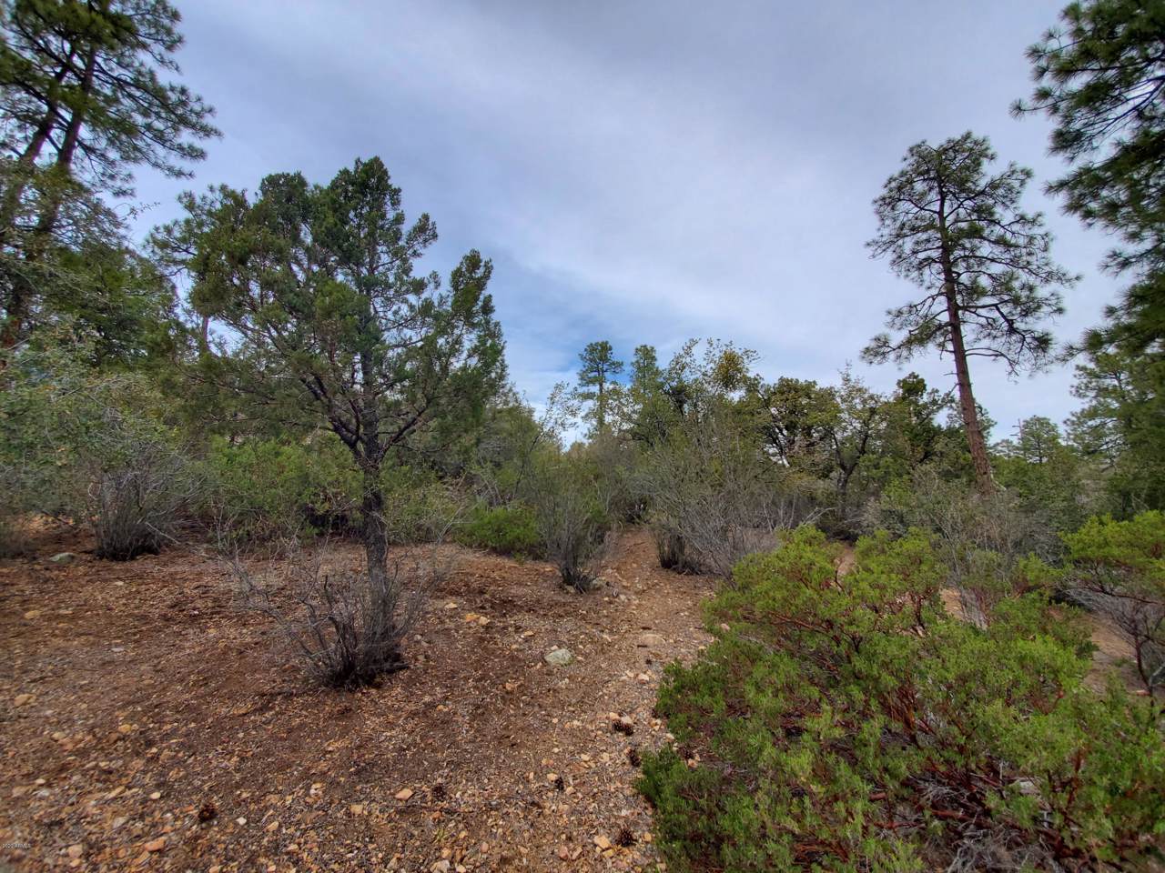 1795 Rolling Hills Drive - Photo 1