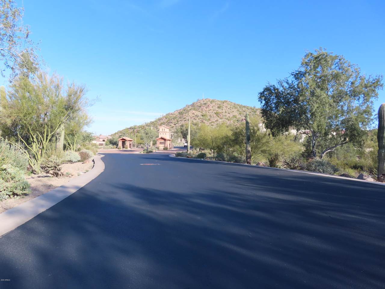 7365 Forest Trail Circle - Photo 1