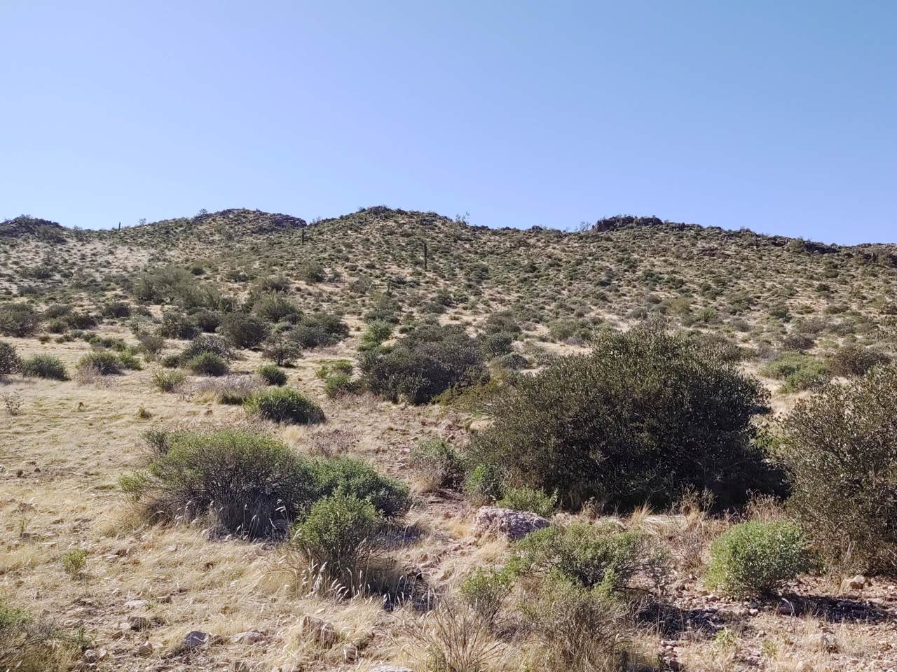 6579 Old Camp Road - Photo 1