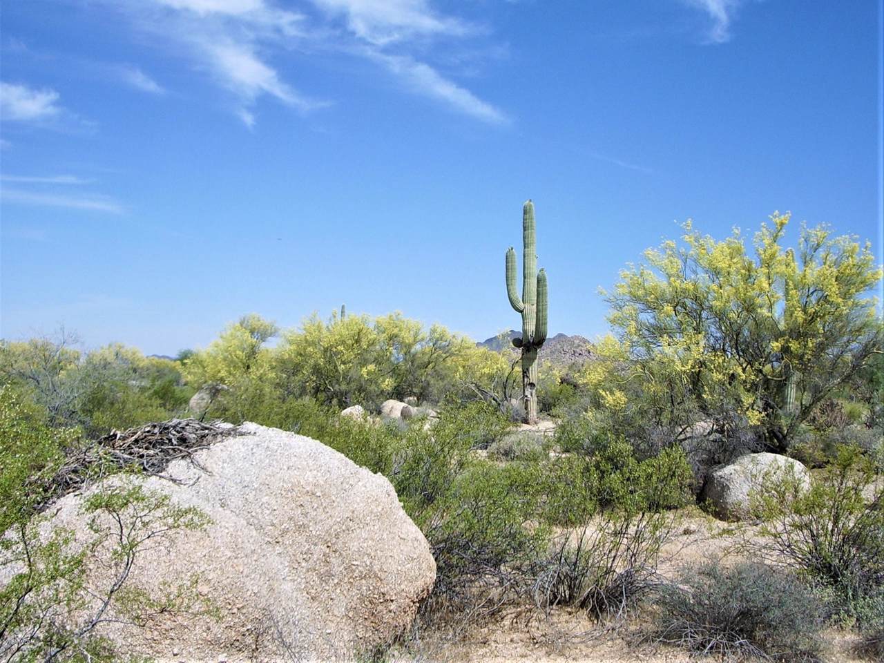 31226 Granite Reef Road - Photo 1