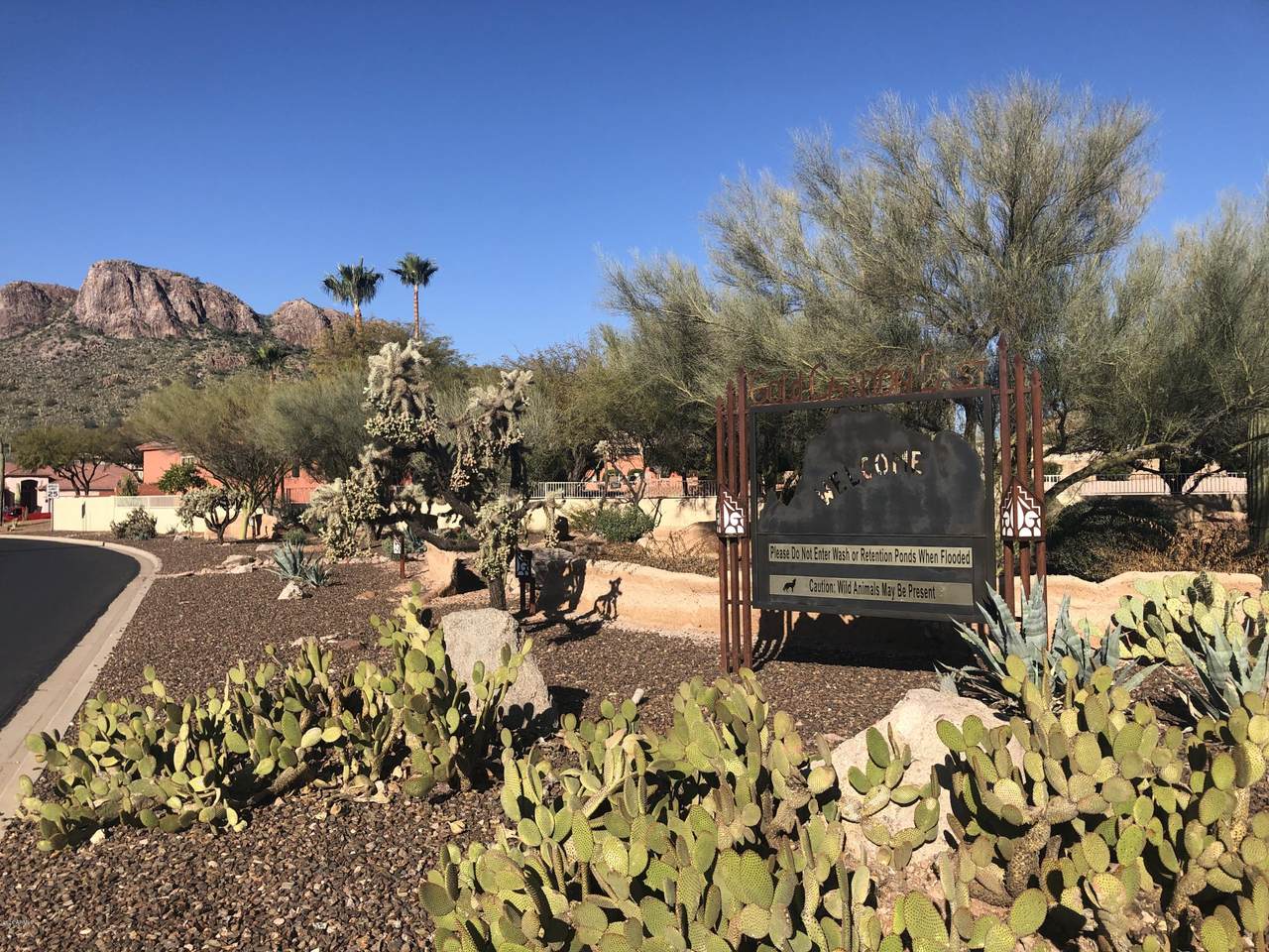 5406 Gold Canyon Drive - Photo 1