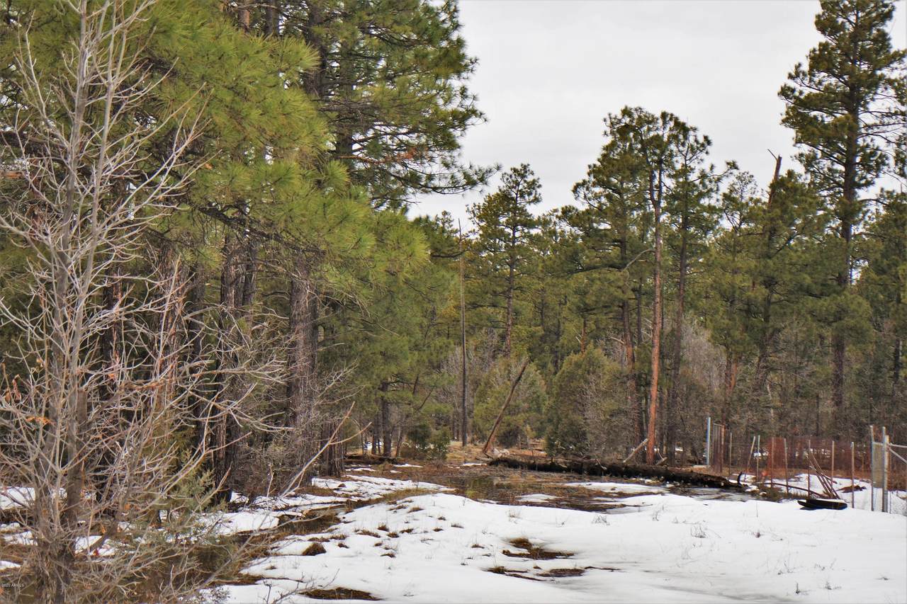 TBD Show Low Lake Road - Photo 1