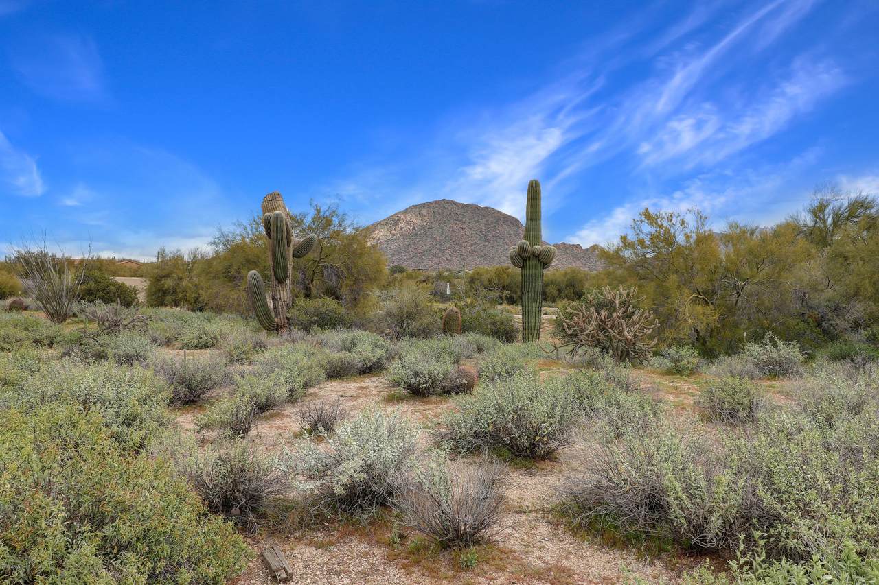 25660 Pima Road - Photo 1