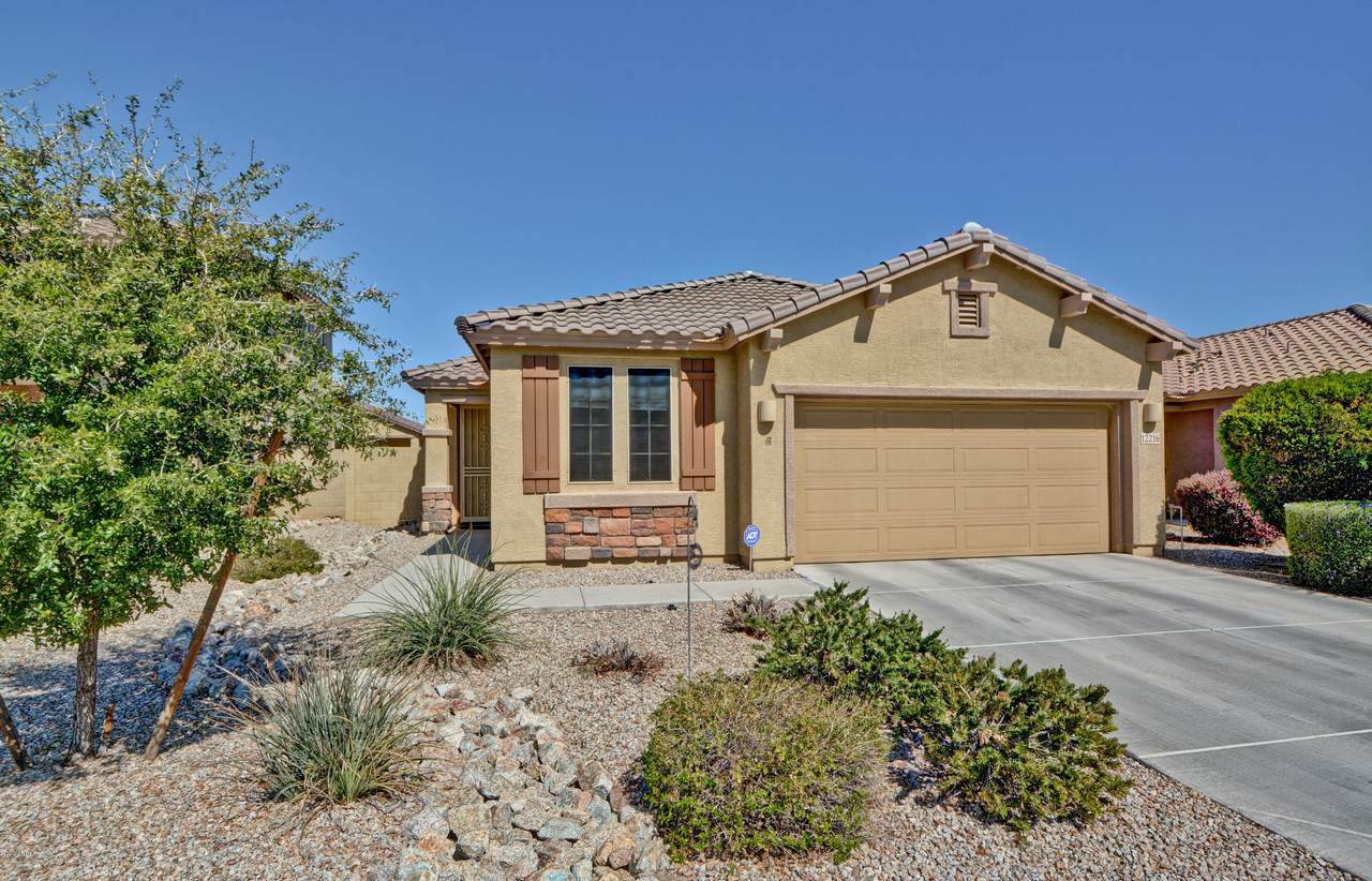 12216 Saguaro Lane - Photo 1