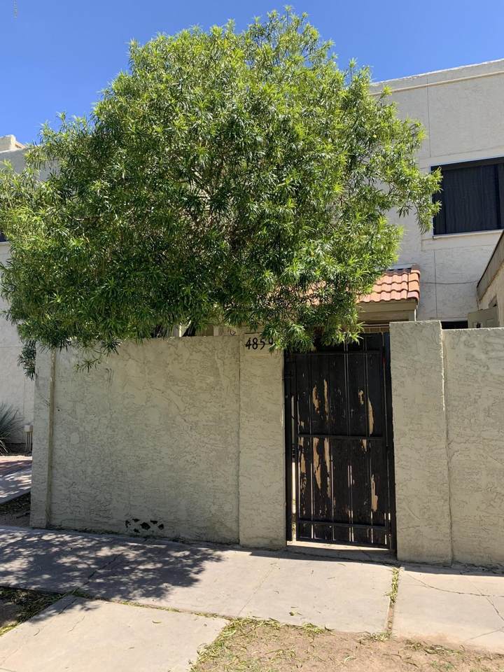 4859 Palo Verde Drive - Photo 1