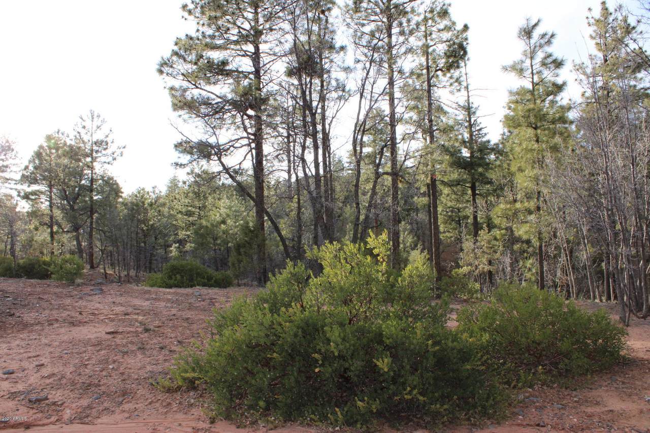 6330 Draco Drive - Photo 1