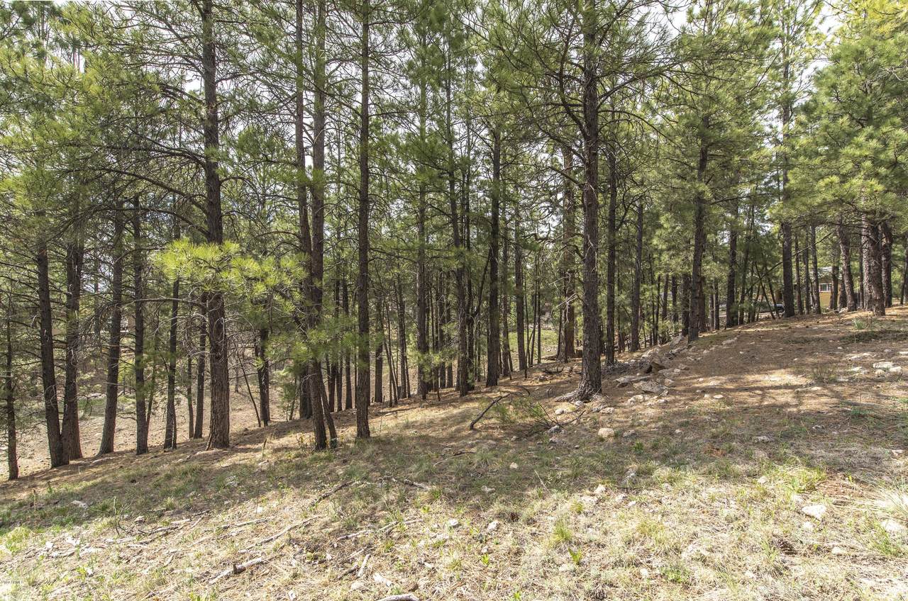 3293 Gila Drive - Photo 1 3293 Gila Drive - Photo 1