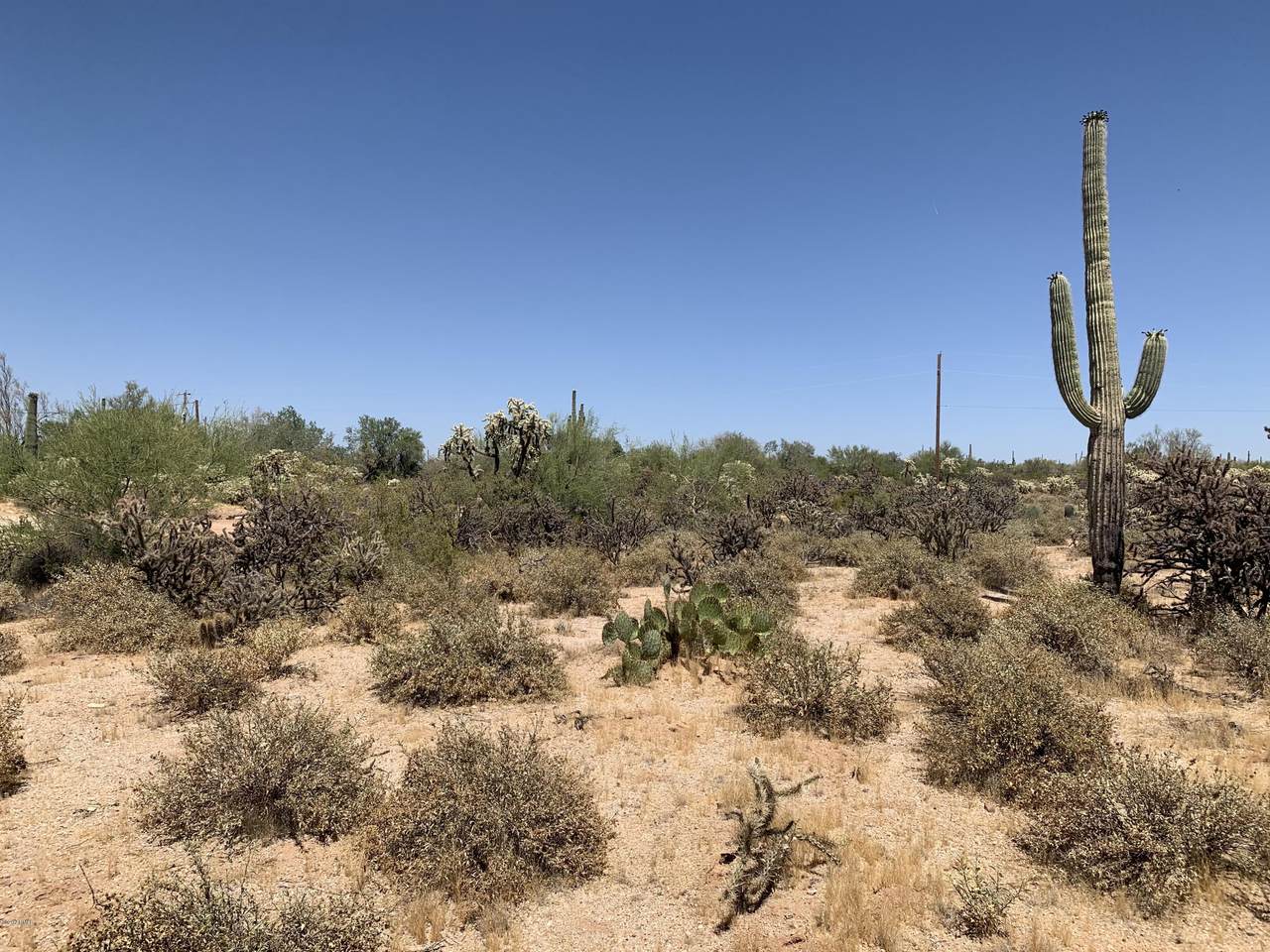 12432 Hexcel Road - Photo 1