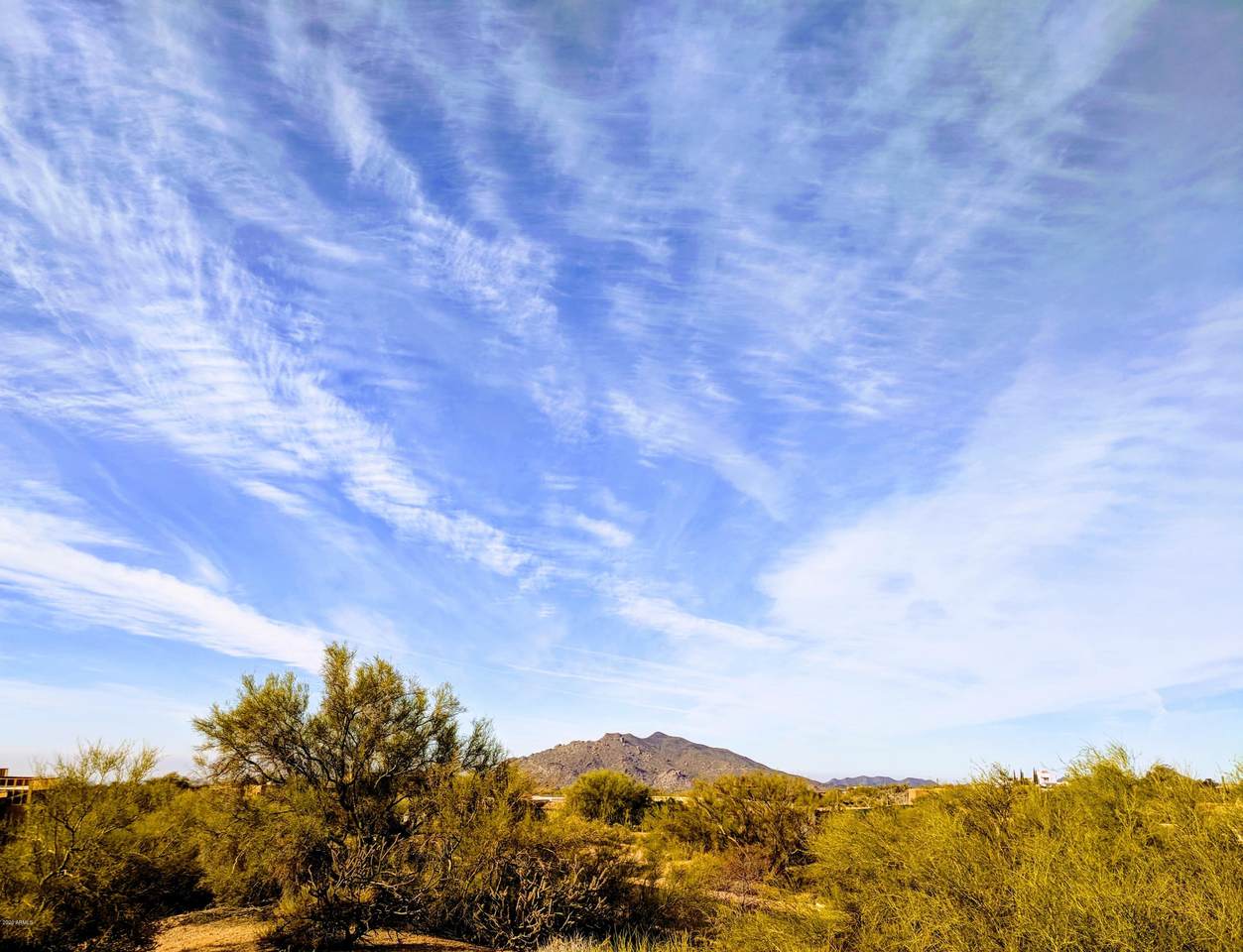 9198 Sky Line Drive - Photo 1
