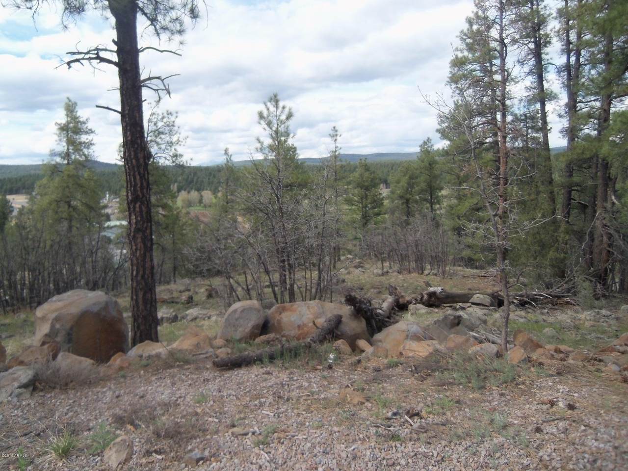 115 Navajo-Lower Lot 148 Road - Photo 1