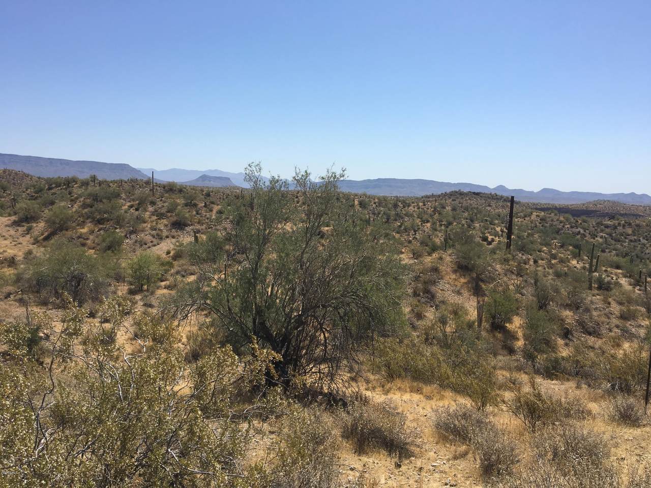 000 Columbia Mine Trail Road - Photo 1