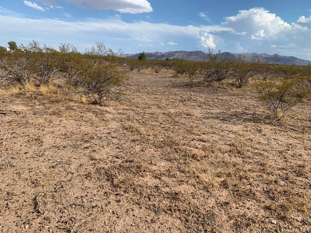 228XX Jomax Road - Photo 1