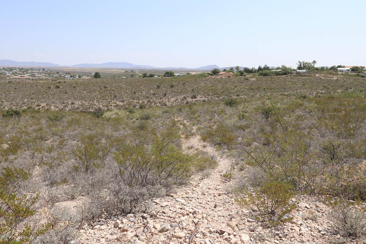 TBD Cactus Drive - Photo 1