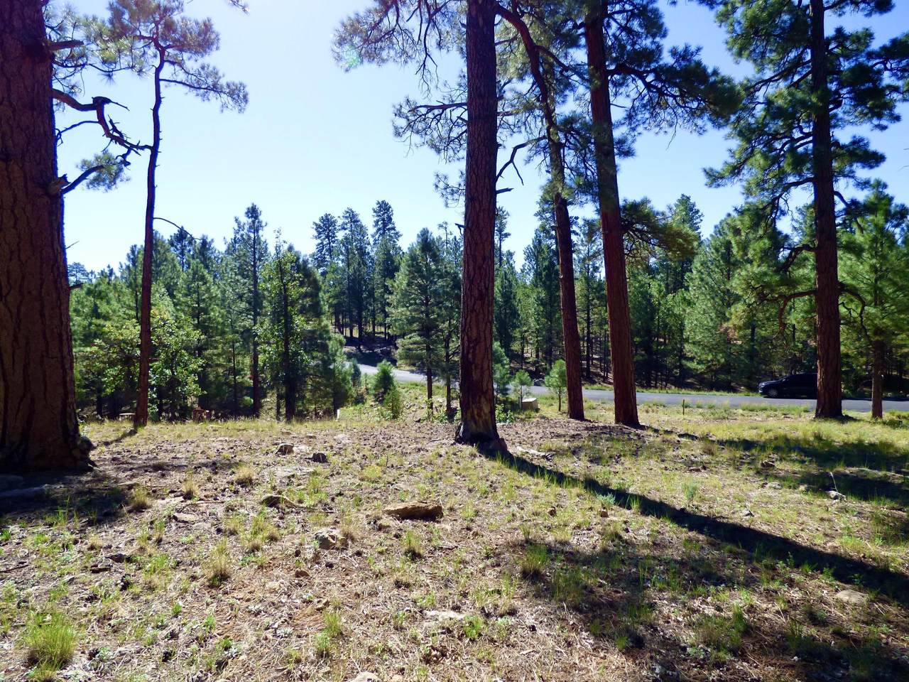 2096 Pine Canyon Drive - Photo 1