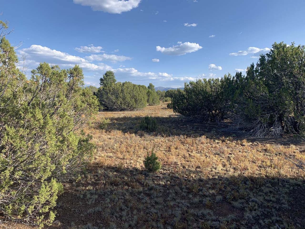 174 Co Rd 3187A - Photo 1