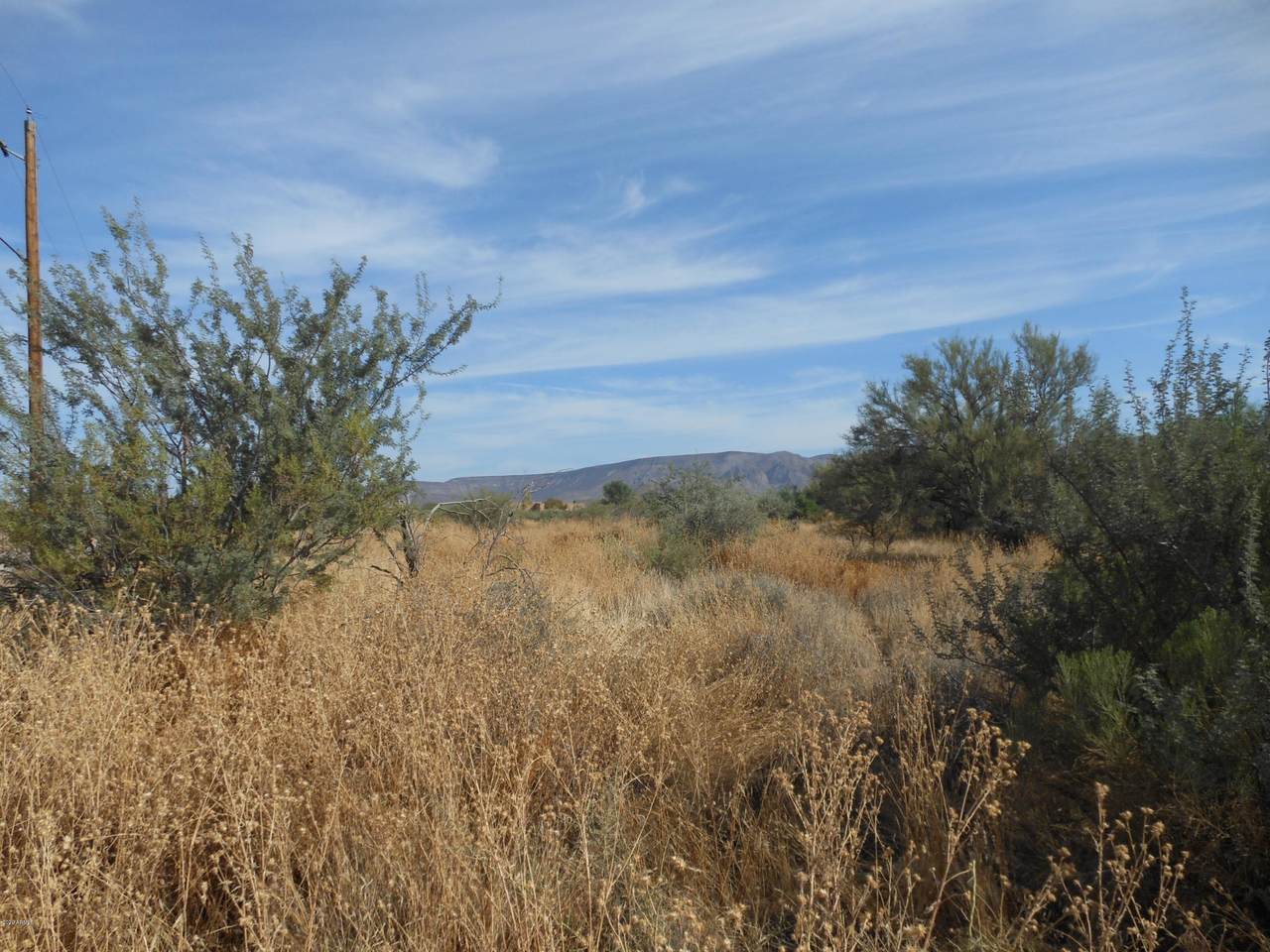 446XX 10th Street - Photo 1