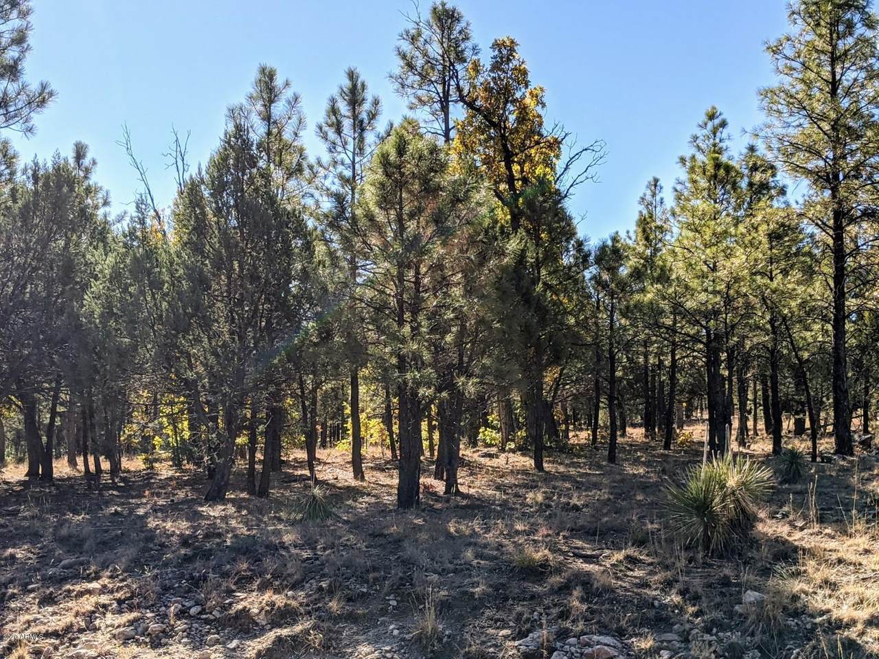 1644 Sugar Pine Drive - Photo 1