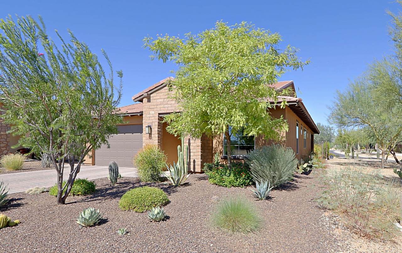 18004 Silver Sage Lane - Photo 1