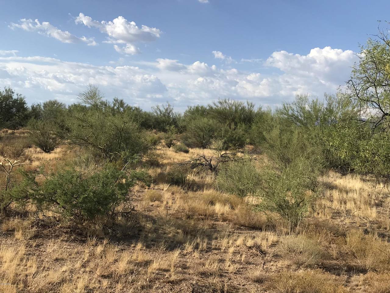 0 State Route 89 - Photo 1