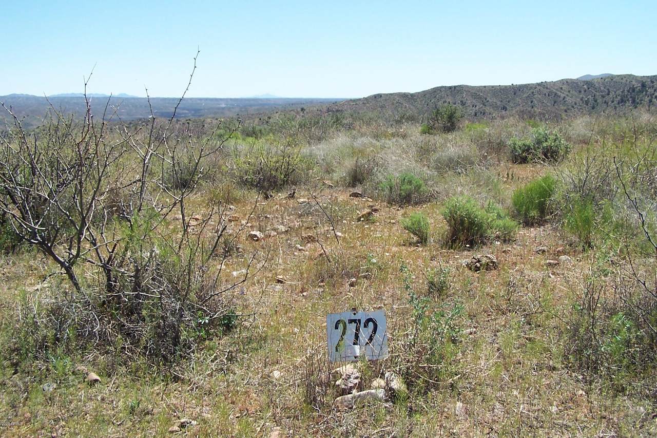 Lot 272 End Of The Trail Road - Photo 1