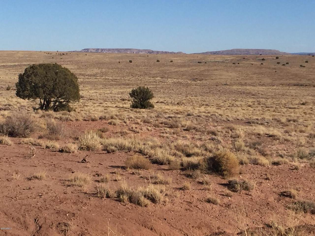 Carrizo Ranches Lot 297 - Photo 1
