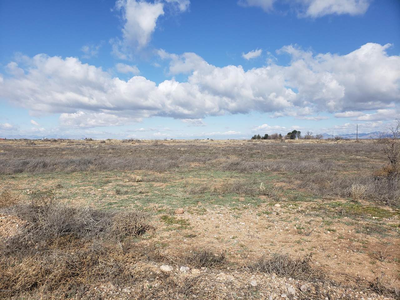 40 acres Sulphur Springs Road - Photo 1