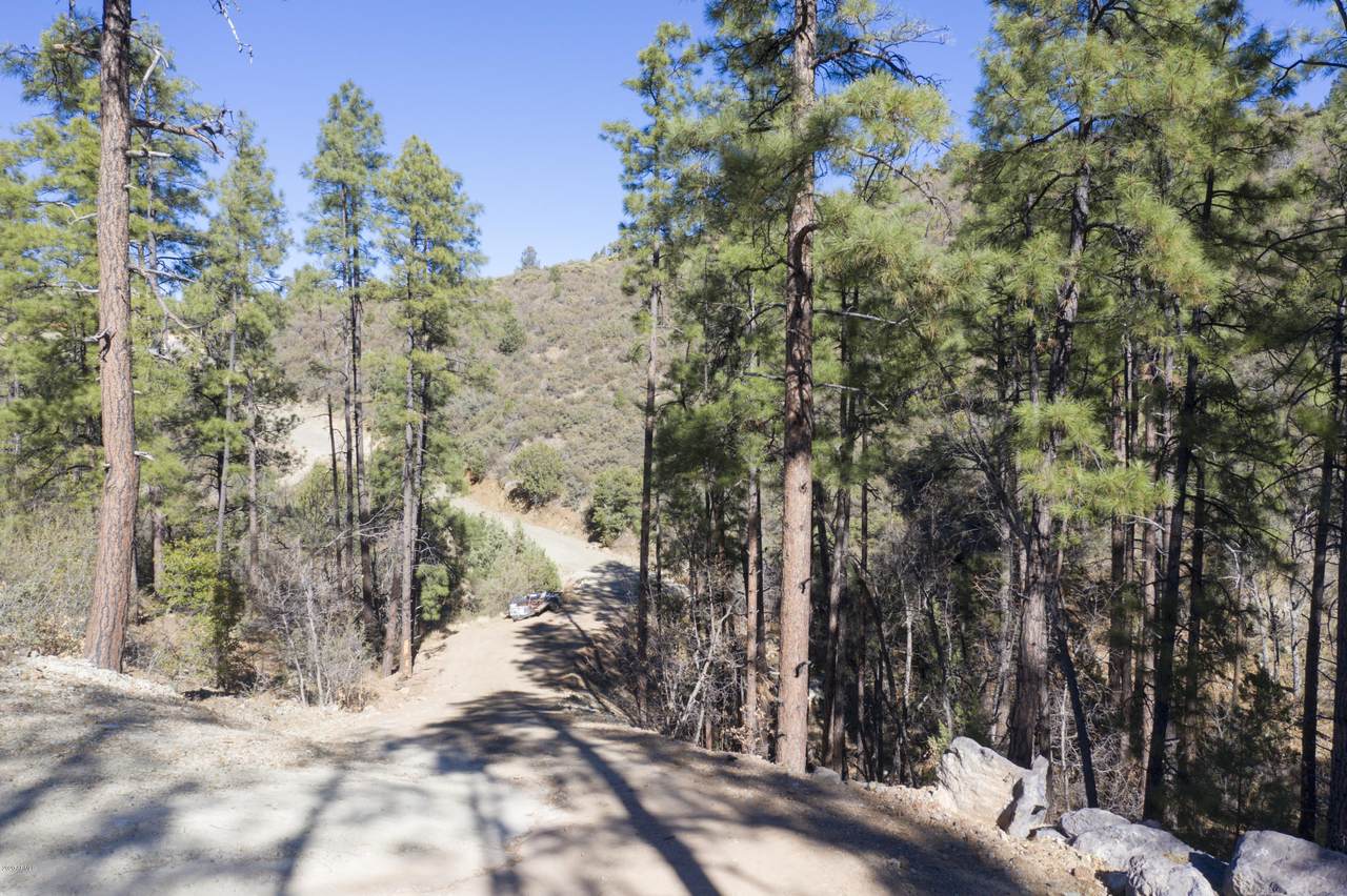 00 Forest Drive - Photo 1