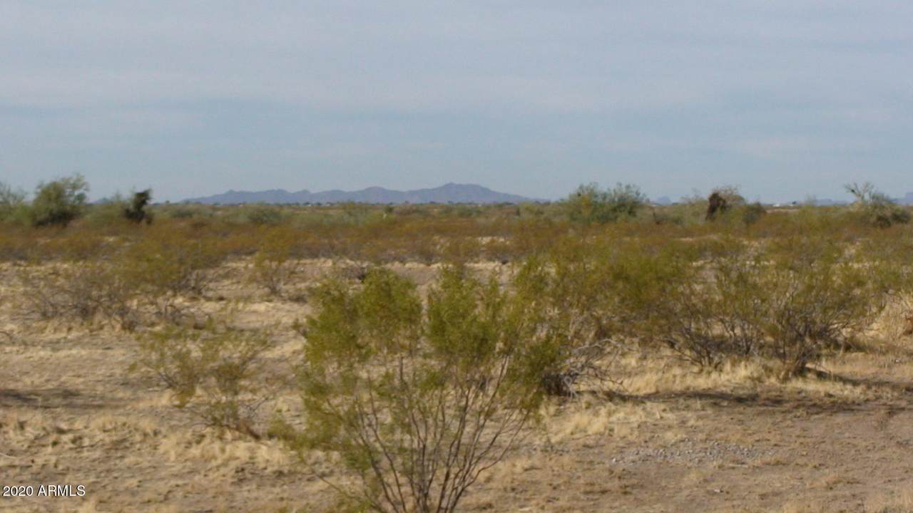 227th Dove Wing Way - Photo 1