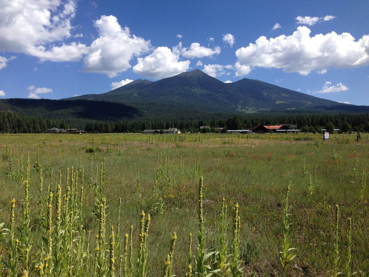 8750 Ranch At The Peaks Way - Photo 1