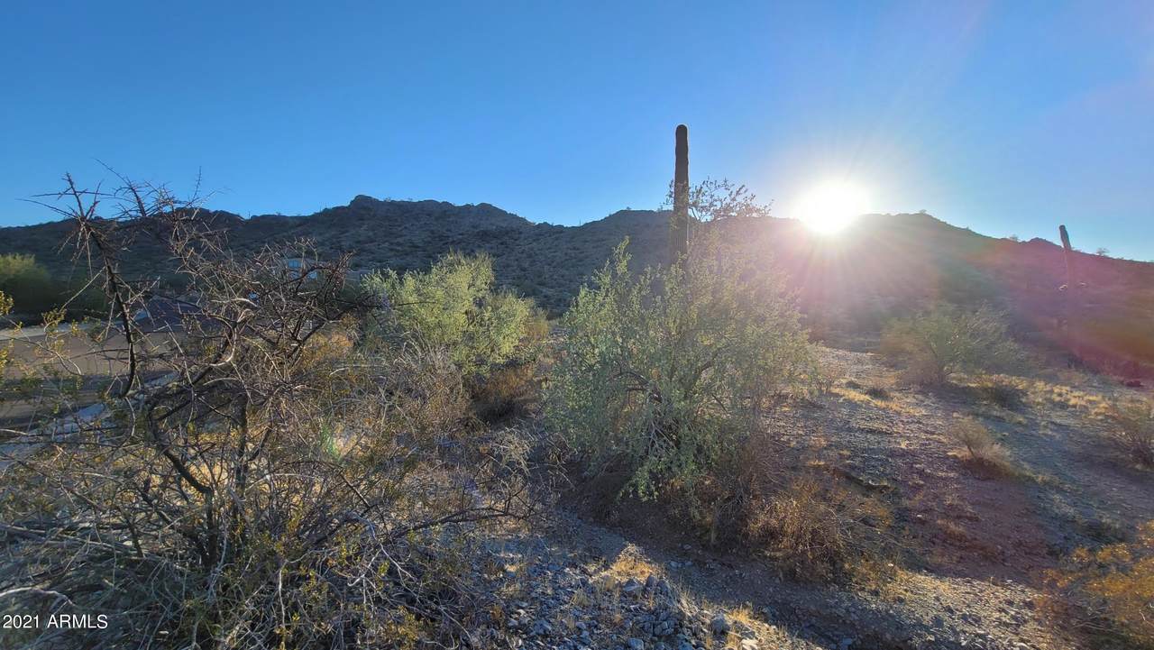 9520 Krista Drive - Photo 1