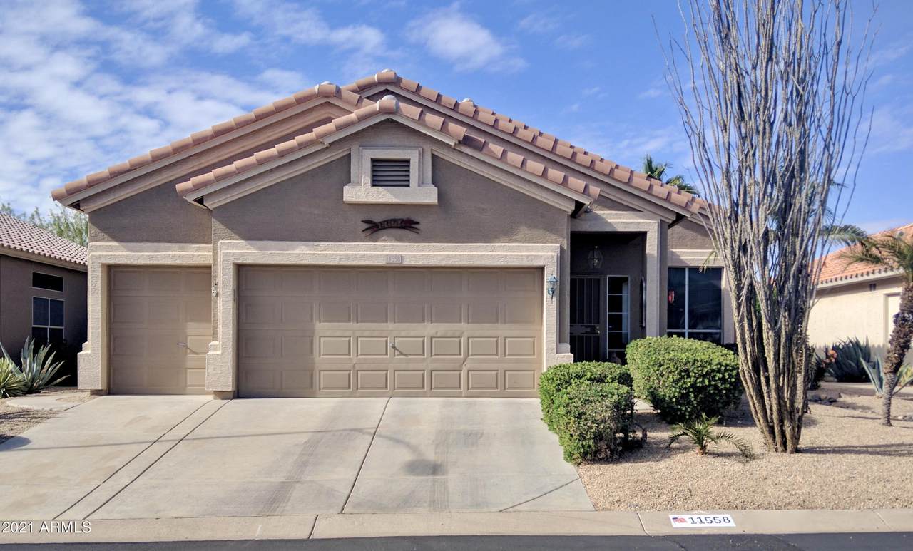 11558 Tortoise Court - Photo 1