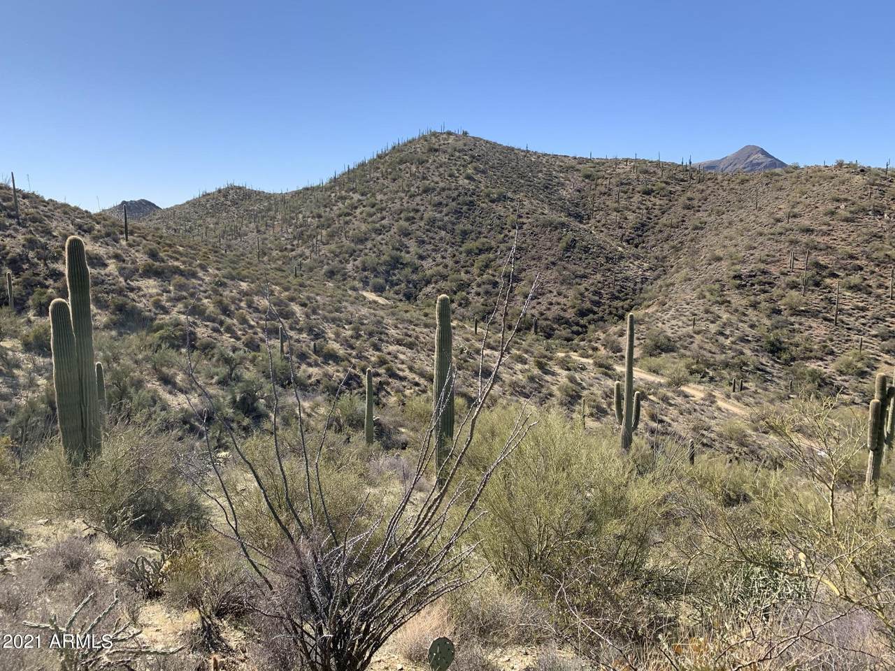 44901 Cottonwood Canyon Road - Photo 1