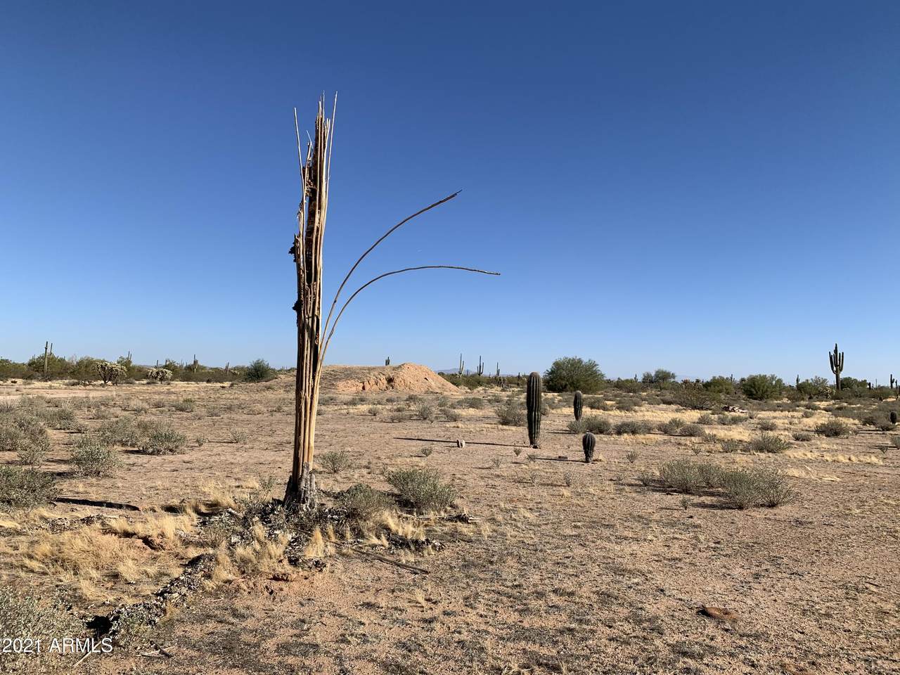 0 Highway 79 Circle - Photo 1