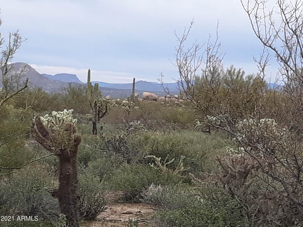 1.5 Cochran Road - Photo 1