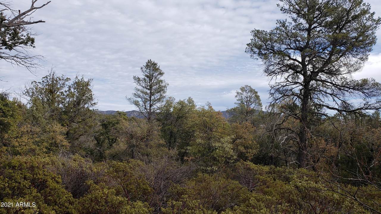 10D Ike Clark Parkway - Photo 1