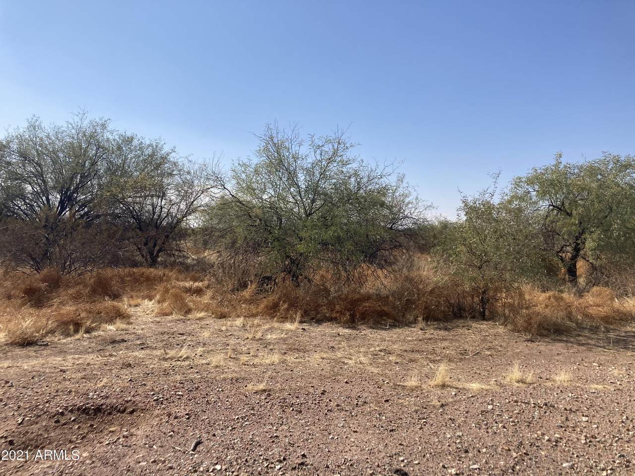 32XXX 225th Avenue - Photo 1