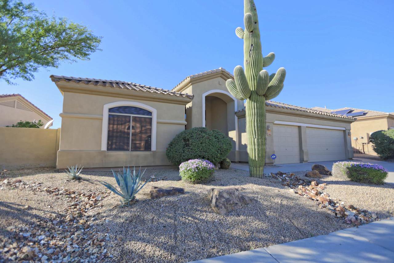5564 Via Montoya Drive - Photo 1