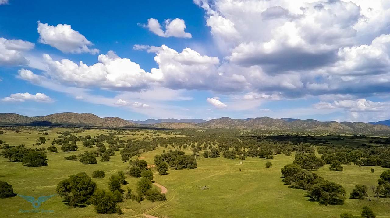 TBD Forest Road 4745 - Photo 1