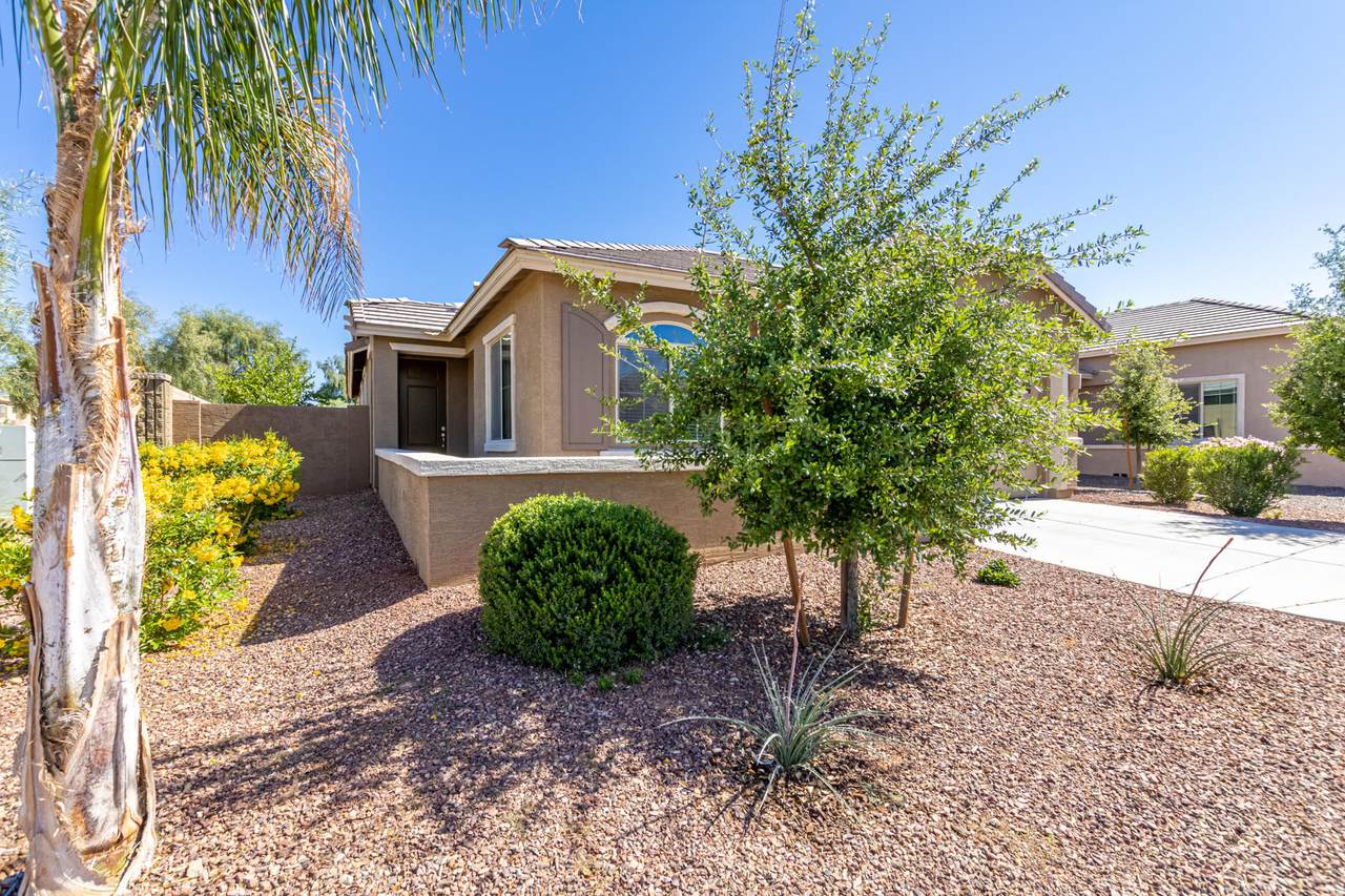 3812 Desert Broom Drive - Photo 1