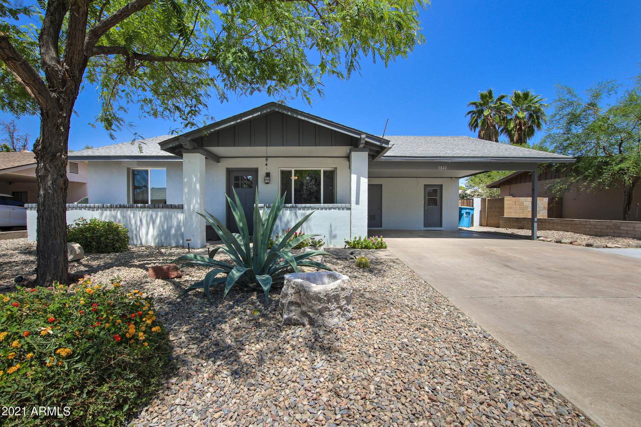 3840 Lupine Avenue - Photo 1